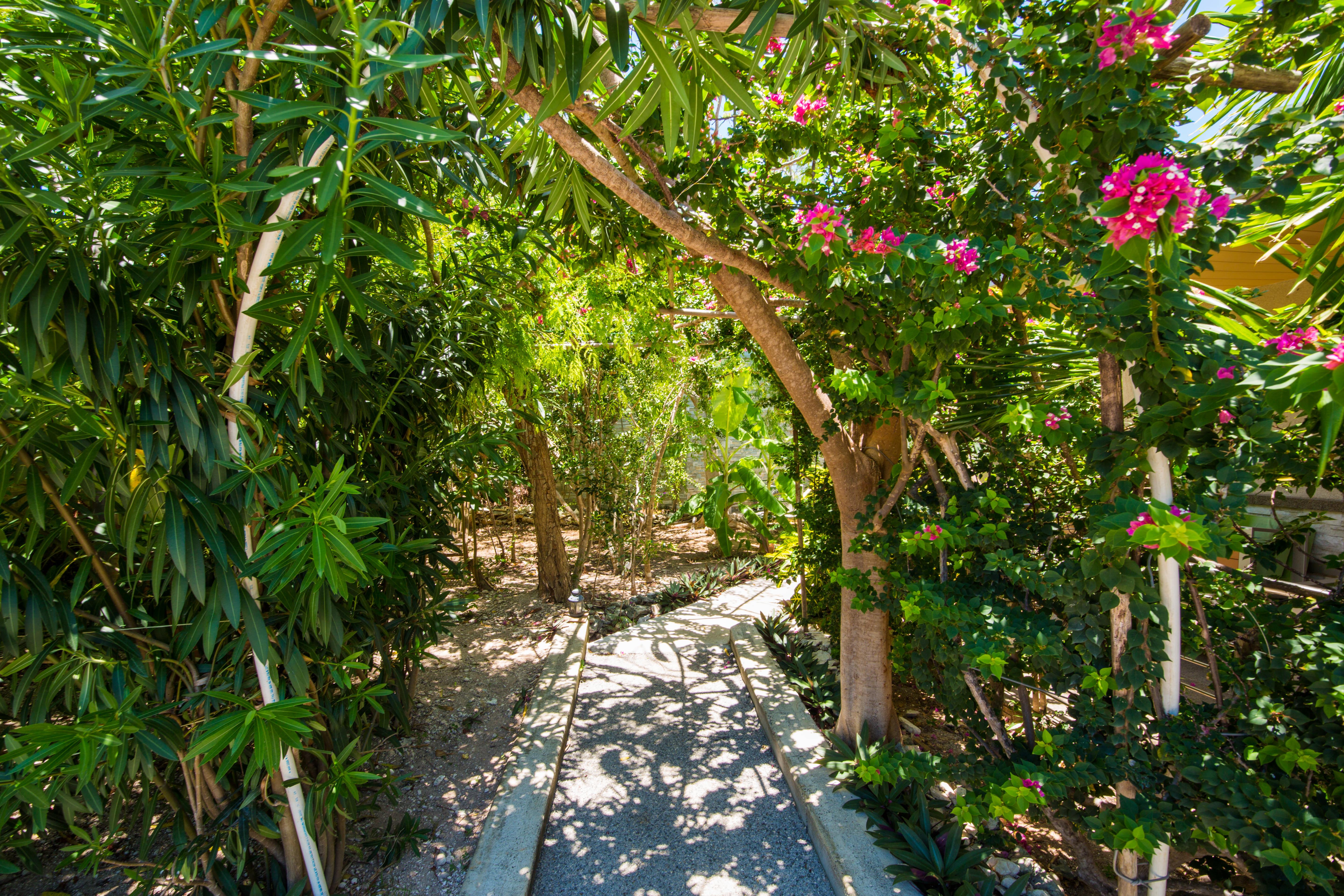 One On Marlin Resort (Adults Only) Turtle Cove Εξωτερικό φωτογραφία
