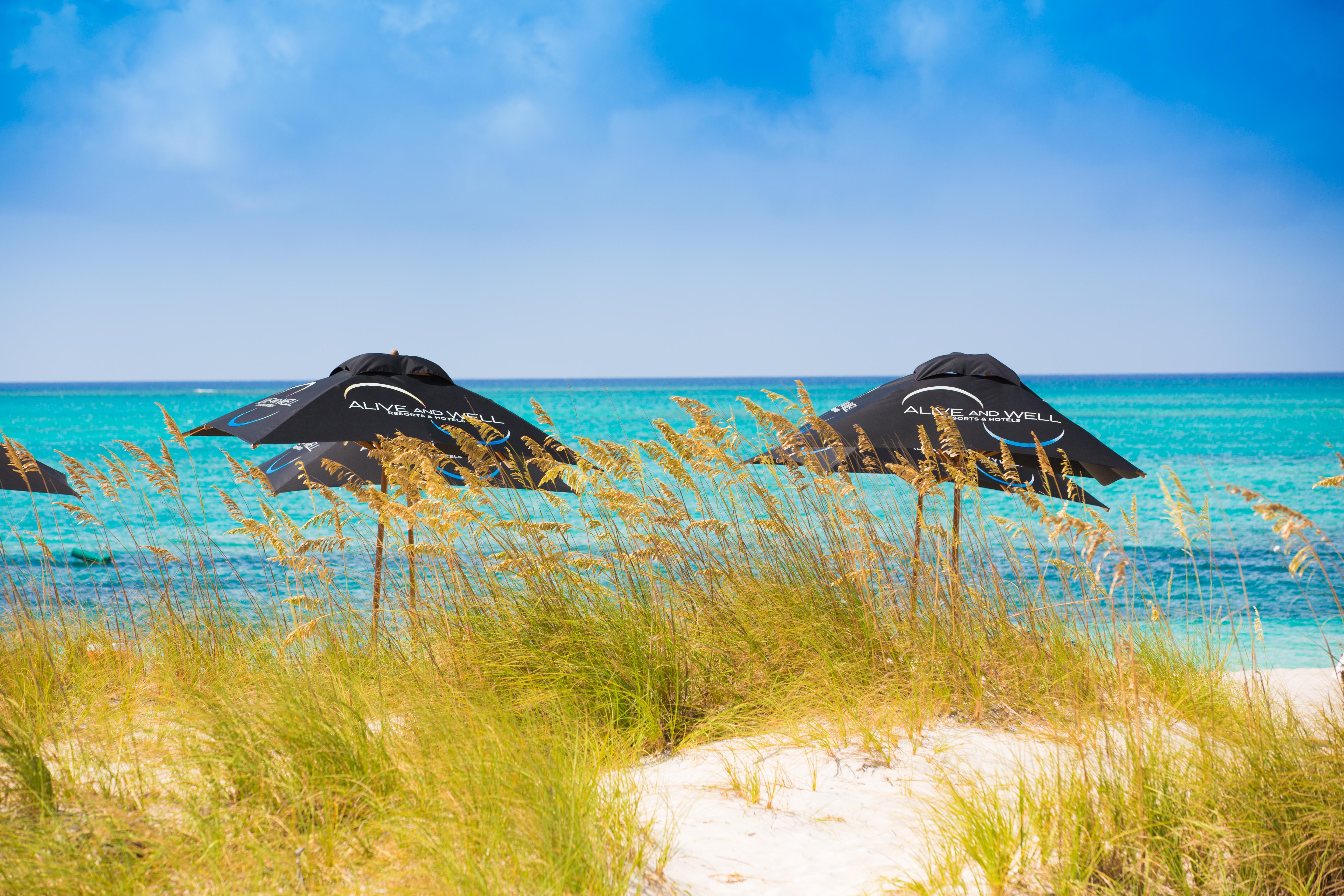 One On Marlin Resort (Adults Only) Turtle Cove Εξωτερικό φωτογραφία