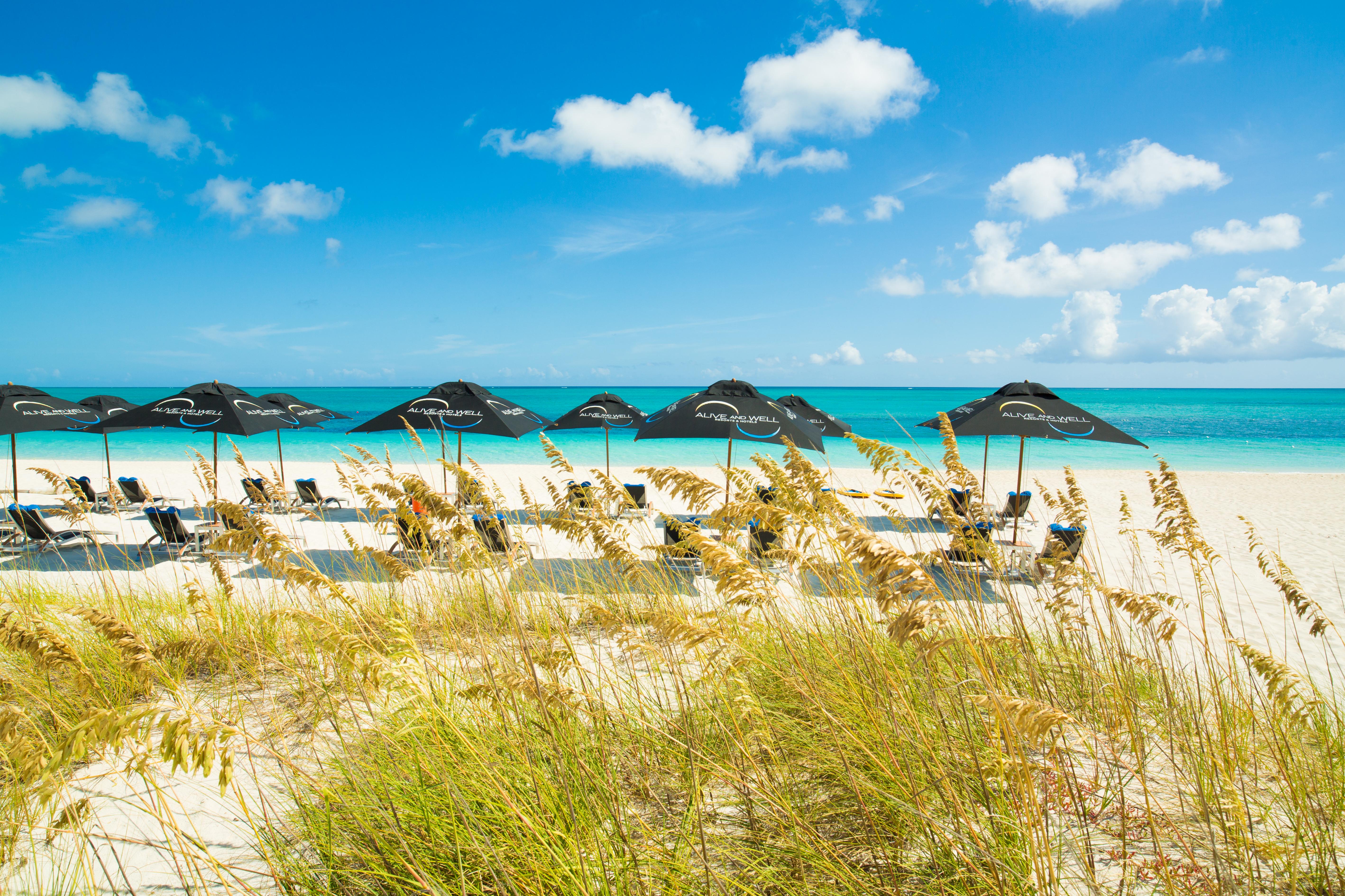 One On Marlin Resort (Adults Only) Turtle Cove Εξωτερικό φωτογραφία