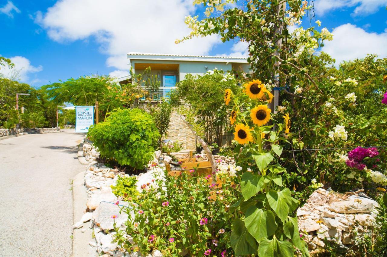 One On Marlin Resort (Adults Only) Turtle Cove Εξωτερικό φωτογραφία